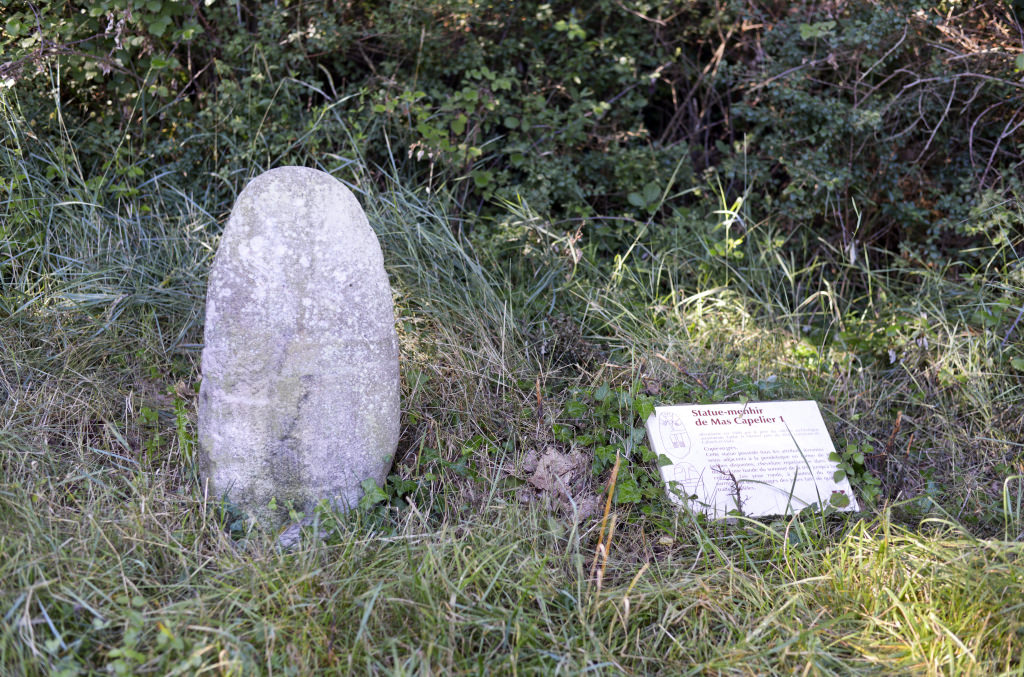 Statue menhir de Mas Capelier